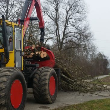 Forstliche Dienstleistungen